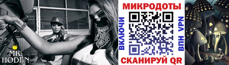 ссылка на мегу как зайти  сколько стоит  Калтан  Галлюциногенные грибы GOLDEN TEACHER 